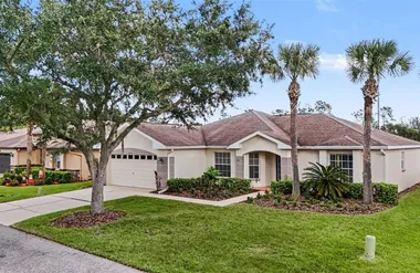 10223 COLLAR DR, SAN ANTONIO, FL, 33576, San Antonio, FL 33576