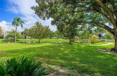 14130 ROSEMARY LN 3115, LARGO, FL, 33774, Largo, FL 33774