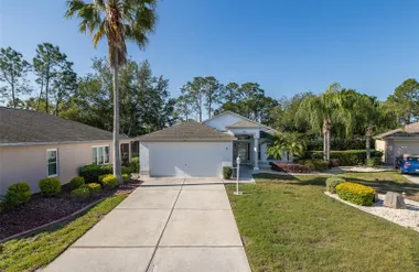 11428 HIDDEN COVE CT, TRINITY, FL, 34655, Trinity, FL 34655