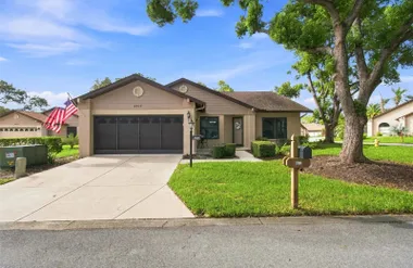 6802 PLUMLEAF CT, SPRING HILL, FL, 34606, Spring Hill, FL 34606