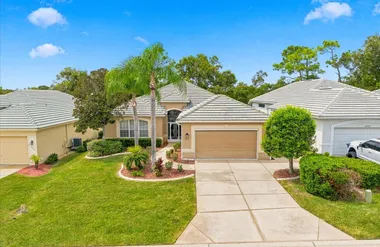 9233 PENELOPE DR, WEEKI WACHEE, FL, 3461..., Weeki Wachee, FL 34613