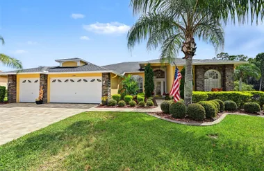 1300 TRIMARAN PL, TRINITY, FL, 34655, Trinity, FL 34655