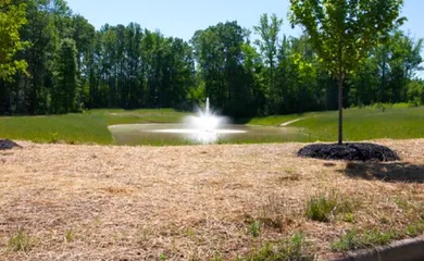 Scenic Ponds
