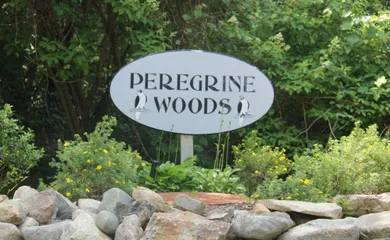 Peregrine Woods - Marshfield, MA
