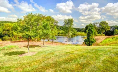 Fishing Lake