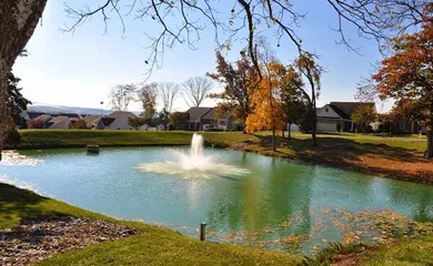 Scenic Lake