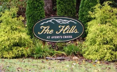 The Hills at Avery's Creek - Arden, NC
