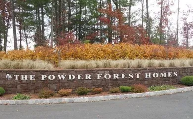 The Powder Forest Homes - Simsbury, CT