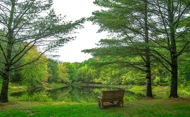 Mountain View Farm - Plymouth NH