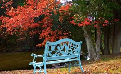 Silver Ridge Park - Toms River, NJ