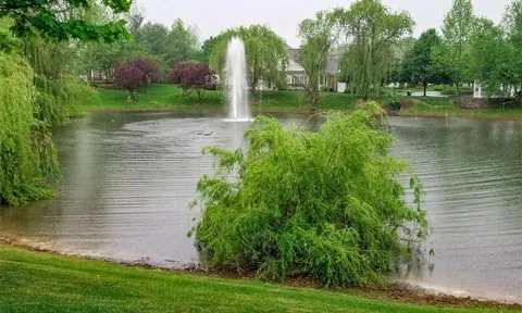 Somerset Run - Somerset NJ