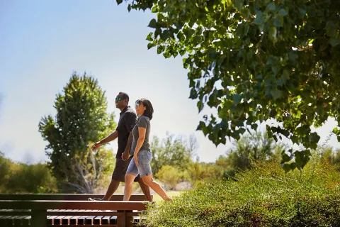 The Highlands - Encore Collection