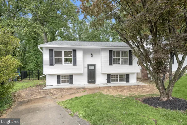 64 WOHL CT