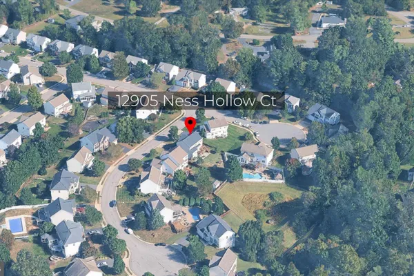 12905 NESS HOLLOW CT