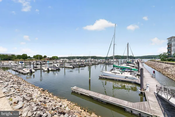 810 BELMONT BAY DR 204