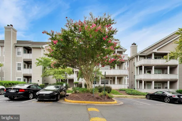 14313 CLIMBING ROSE WAY 106