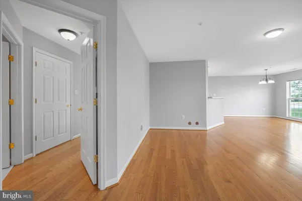 2503 CATOCTIN CT 4 1D