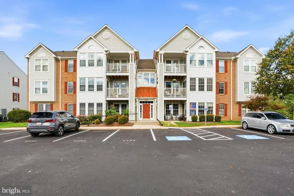 905 BLUE LEAF #7 3C CT 7 3C