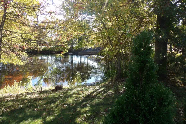 4 BUXTON CT