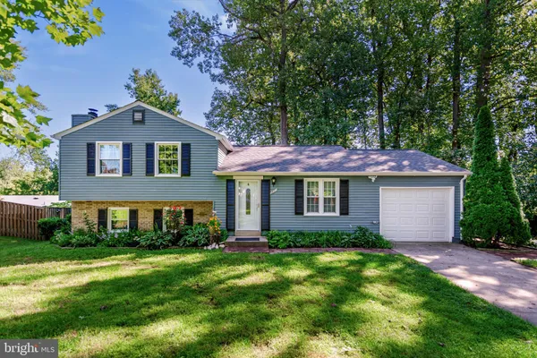 7807 FREEHOLLOW DR