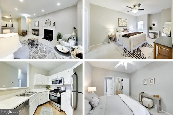 14313 CLIMBING ROSE WAY 106