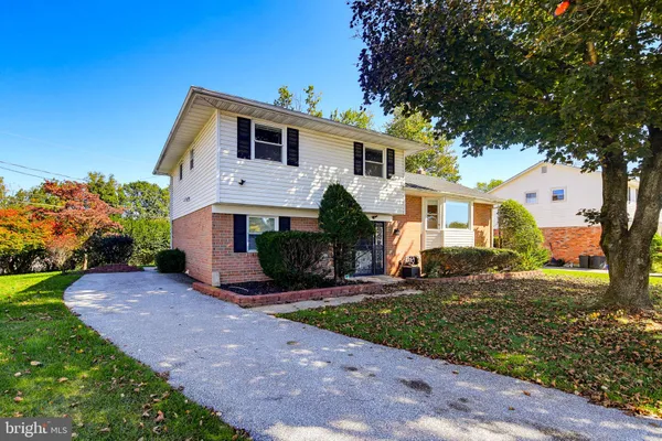 8 GEIER CT