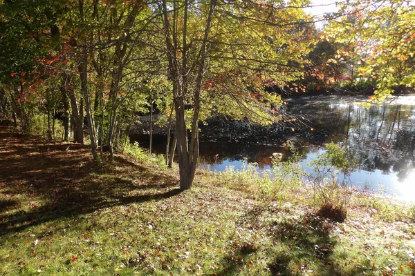 4 BUXTON CT
