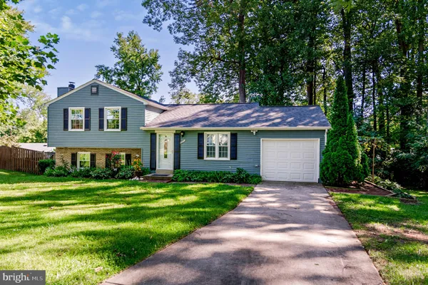 7807 FREEHOLLOW DR