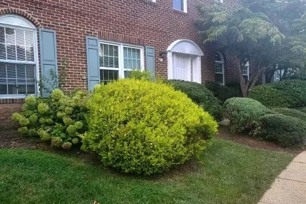 213 HEATHER CT