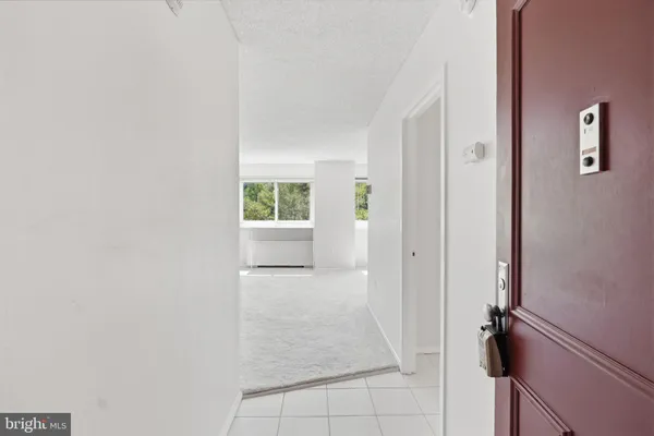1225 MARTHA CUSTIS DR 403