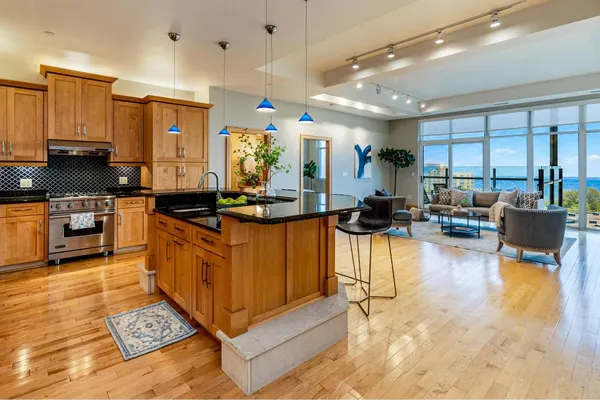 1313 N FRANKLIN PL 905