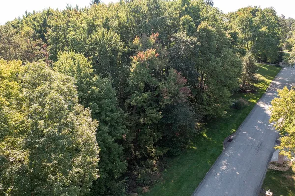 117 BLACKTHORN DR
