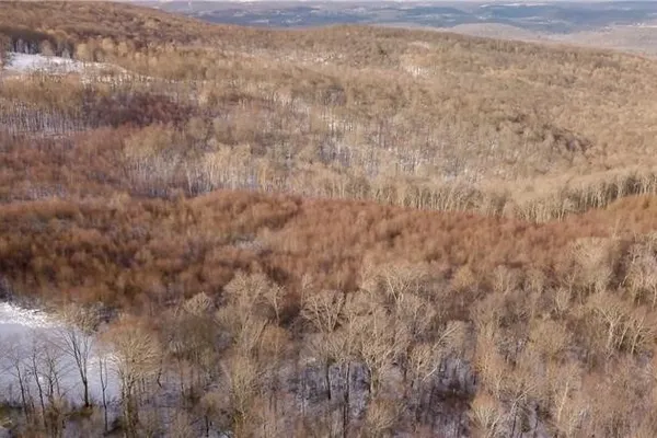 LOT 4 BLUFFS TRL