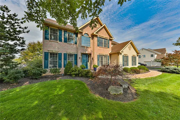 5862 ROYAL FERN