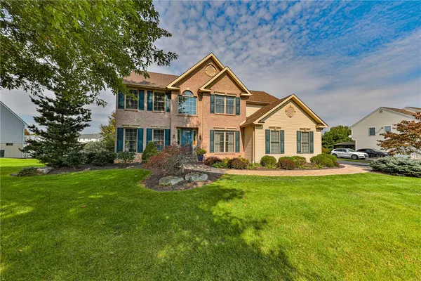 5862 ROYAL FERN