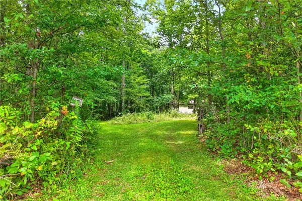 126 ROY STOUT RD
