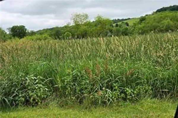 LOT 36-39 BATON RD