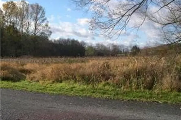 LOT 36-39 BATON RD