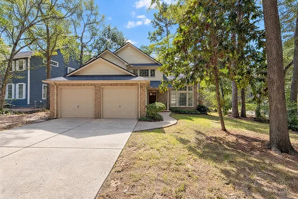 51 N WILDE YAUPON