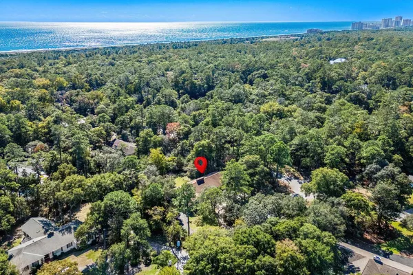 241 CENTER DR