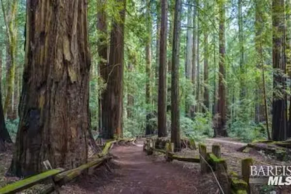 4290 CAZADERO HWY