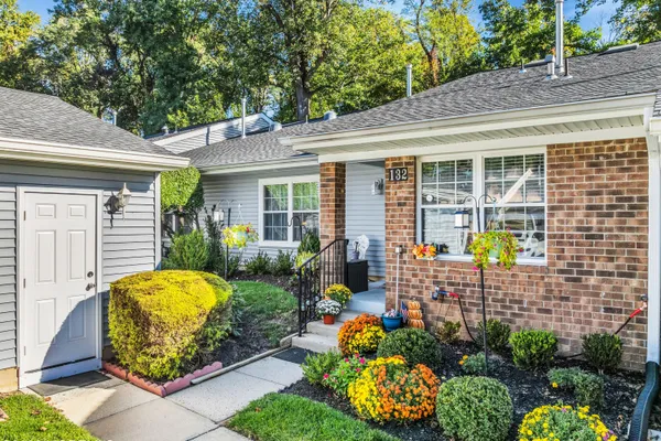 132 VIBURNUM TER