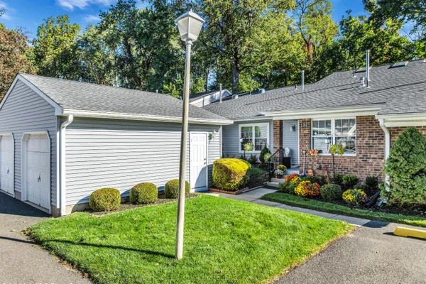 132 VIBURNUM TER