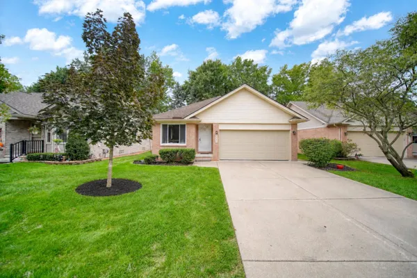 36457 BLACK OAK