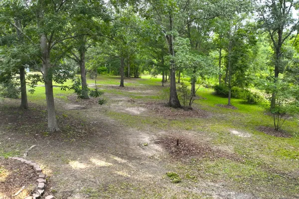 349 BIRD DOG LN