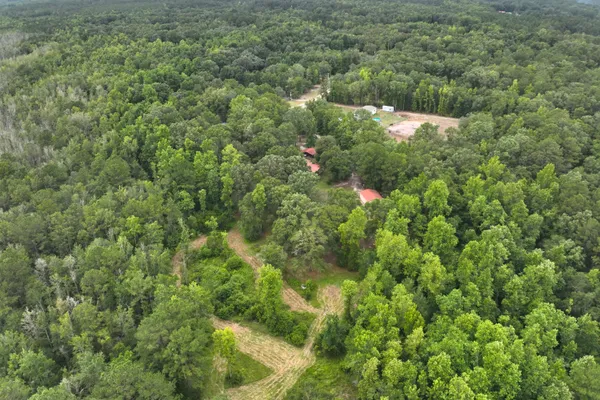 349 BIRD DOG LN