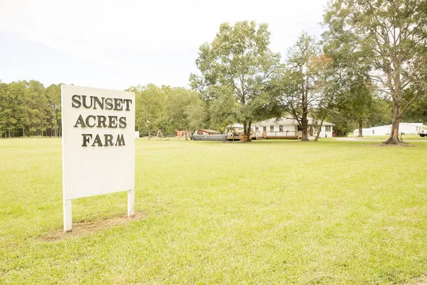 10007 JACKSONBORO RD