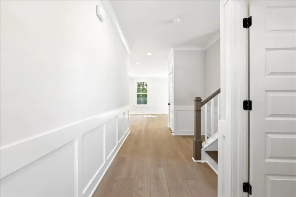 228 REBEL KAT CT