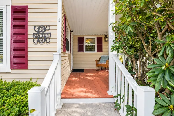 1 LISA CIR