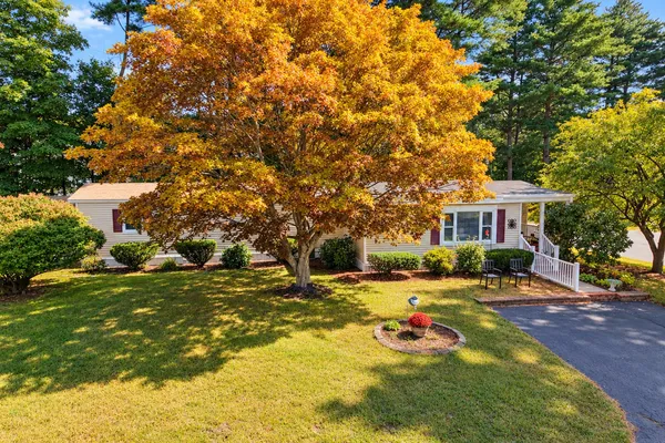 1 LISA CIR